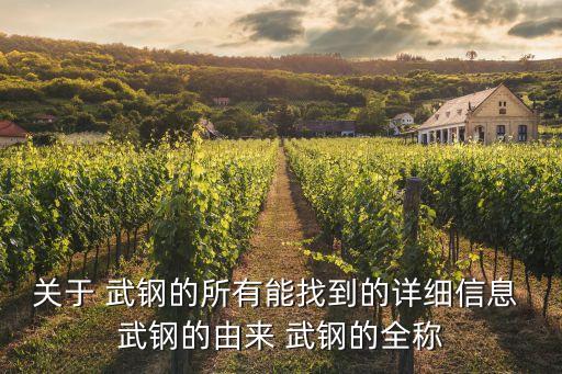 武鋼集團(tuán)鄂鋼公司現(xiàn)貨銷(xiāo)售分公司
