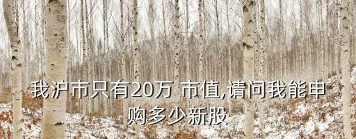 我滬市只有20萬 市值,請(qǐng)問我能申購(gòu)多少新股