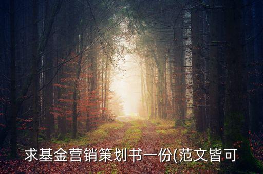 求基金營(yíng)銷策劃書一份(范文皆可