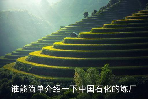 誰(shuí)能簡(jiǎn)單介紹一下中國(guó)石化的煉廠