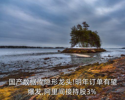  國(guó)產(chǎn)數(shù)據(jù)庫(kù)隱形龍頭!明年訂單有望爆發(fā),阿里間接持股3%
