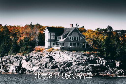  北京81只股票名單