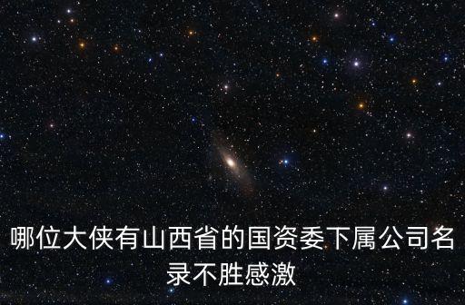 武安市國有資產(chǎn)經(jīng)營有限公司,杭州蕭山國有資產(chǎn)經(jīng)營集團(tuán)有限公司