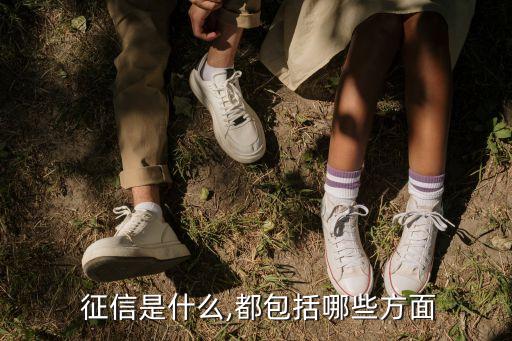 中國個人征信體系,我國的個人征信體系建設始于