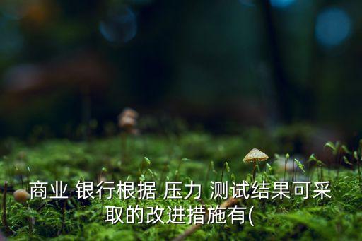 商業(yè) 銀行根據 壓力 測試結果可采取的改進措施有(