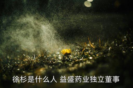 徐杉是什么人 益盛藥業(yè)獨立董事
