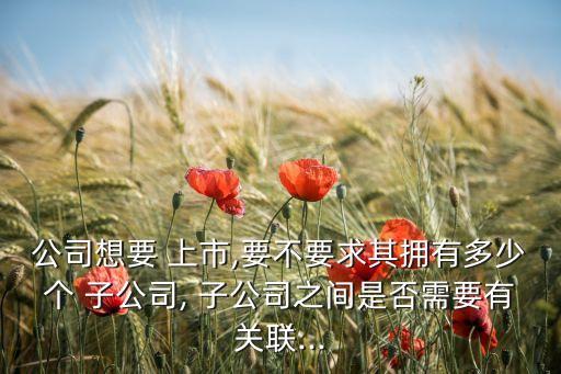 公司想要 上市,要不要求其擁有多少個(gè) 子公司, 子公司之間是否需要有關(guān)聯(lián)...