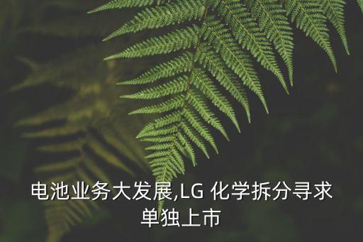 電池業(yè)務大發(fā)展,LG 化學拆分尋求單獨上市