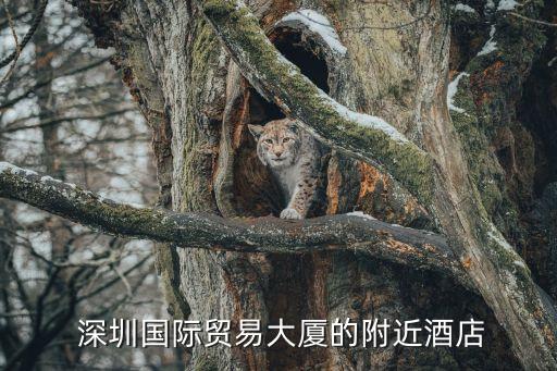  深圳國際貿(mào)易大廈的附近酒店