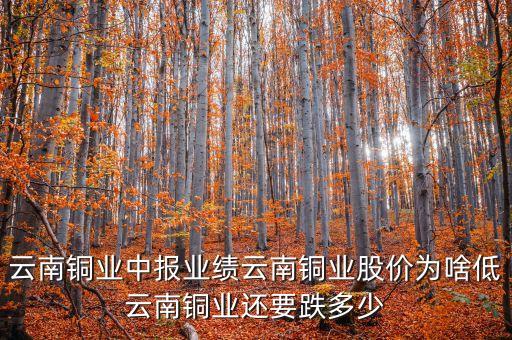 云南銅業(yè)中報(bào)業(yè)績(jī)?cè)颇香~業(yè)股價(jià)為啥低云南銅業(yè)還要跌多少