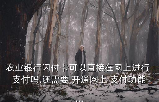 農業(yè)銀行閃付卡可以直接在網上進行 支付嗎,還需要 開通網上 支付功能...
