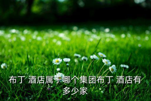 布丁 酒店屬于哪個集團布丁 酒店有多少家