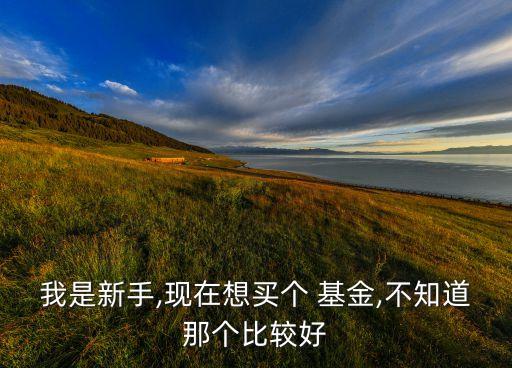 660005基金凈值相關推薦,農(nóng)行中小盤660005混合基金凈值今天