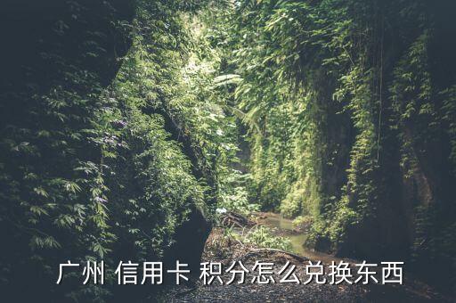  廣州 信用卡 積分怎么兌換東西