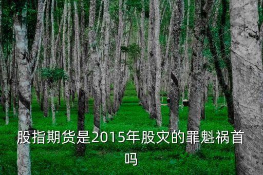 2015年投資風險
