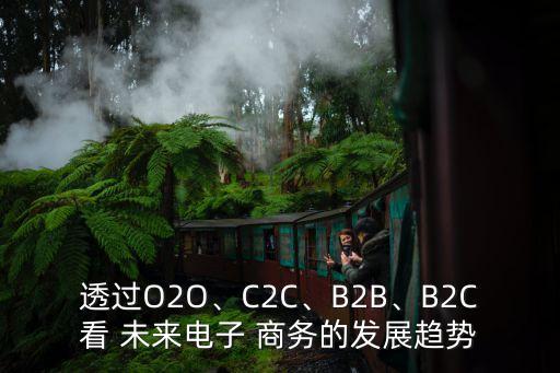 透過(guò)O2O、C2C、B2B、B2C看 未來(lái)電子 商務(wù)的發(fā)展趨勢(shì)