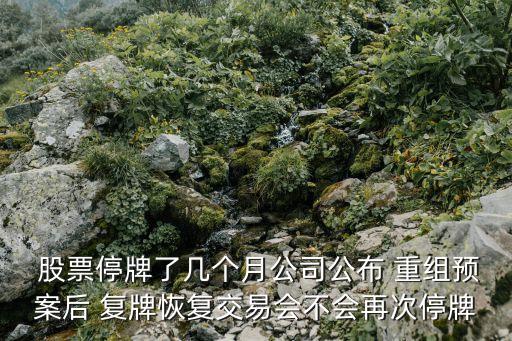 近期重組復牌股票,重組股票復牌第一天漲跌幅限制