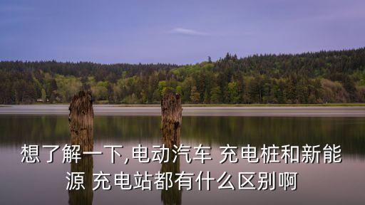 想了解一下,電動汽車 充電樁和新能源 充電站都有什么區(qū)別啊