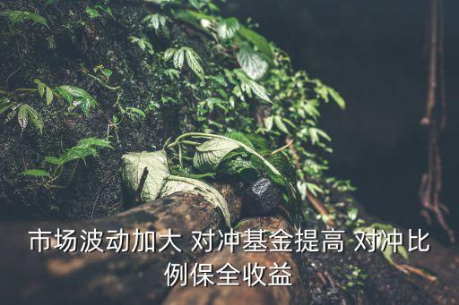 市場波動加大 對沖基金提高 對沖比例保全收益