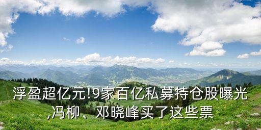 浮盈超億元!9家百億私募持倉股曝光,馮柳、鄧曉峰買了這些票