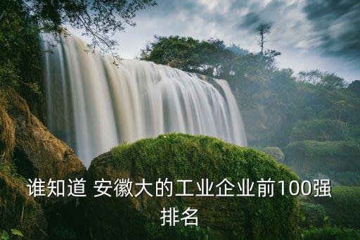 誰知道 安徽大的工業(yè)企業(yè)前100強排名