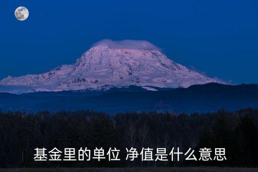 基金凈值590008