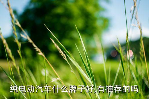 純電動(dòng)汽車(chē)什么牌子好,有推薦的嗎
