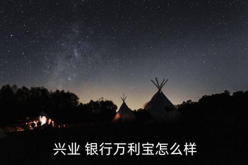 興業(yè)銀行最大特色