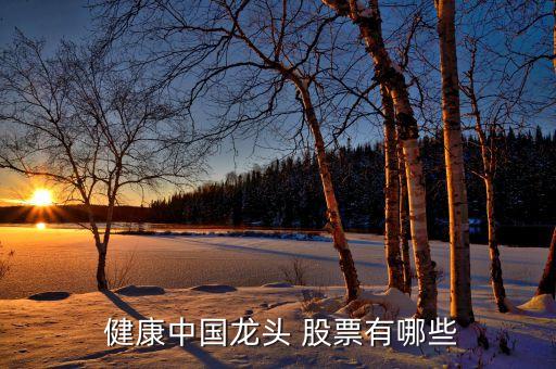 健康中國(guó)龍頭 股票有哪些