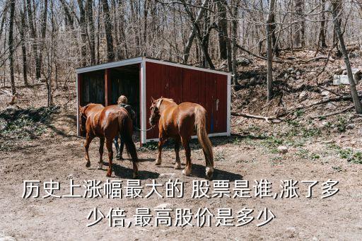 歷史上漲幅最大的 股票是誰(shuí),漲了多少倍,最高股價(jià)是多少