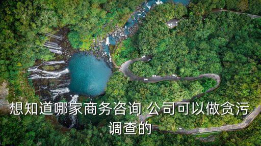 想知道哪家商務(wù)咨詢(xún) 公司可以做貪污調(diào)查的