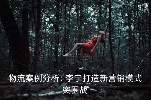 李寧公司管理層架構(gòu),蘋(píng)果公司管理層架構(gòu)