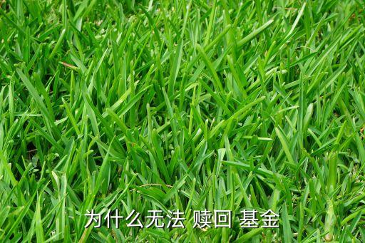 指數基金能部分贖回嗎,ETF指數基金可以隨時贖回嗎