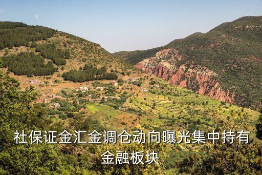 全國(guó)社保基金101組合,社?；?01組合最新持股