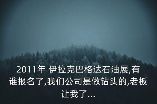2011年 伊拉克巴格達(dá)石油展,有誰報名了,我們公司是做鉆頭的,老板讓我了...