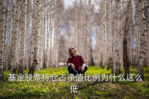  基金股票持倉占凈值比例為什么這么低