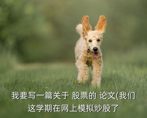 我要寫一篇關于 股票的 論文(我們這學期在網(wǎng)上模擬炒股了
