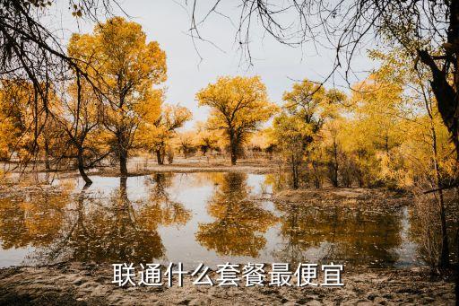 中國(guó)聯(lián)通最低資費(fèi)