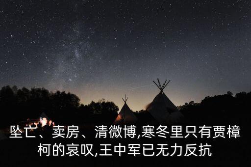 墜亡、賣房、清微博,寒冬里只有賈樟柯的哀嘆,王中軍已無力反抗