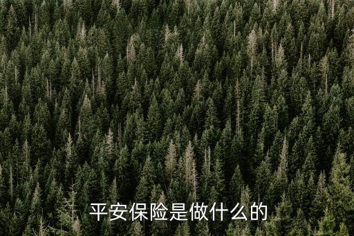 平安保險是做什么的