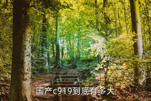 中國(guó)商用大飛機(jī)類(lèi)型,大飛機(jī)c919何時(shí)商用