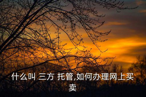 什么叫 三方 托管,如何辦理網(wǎng)上買賣