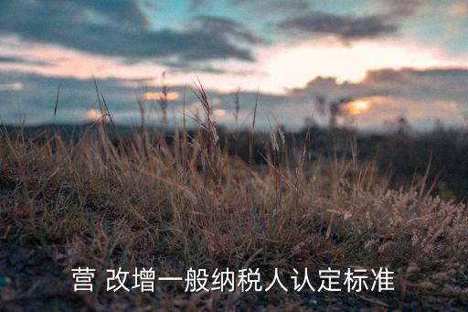 營(yíng) 改增一般納稅人認(rèn)定標(biāo)準(zhǔn)