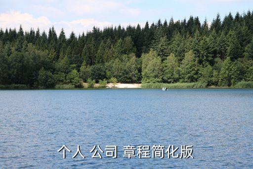 個(gè)人 公司 章程簡化版