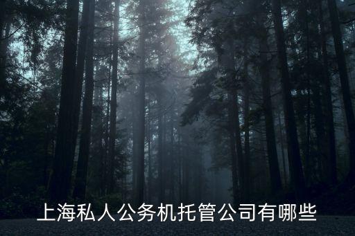 上海私人公務(wù)機托管公司有哪些