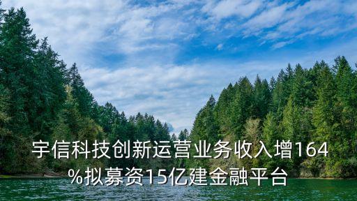  宇信科技創(chuàng)新運營業(yè)務收入增164%擬募資15億建金融平臺