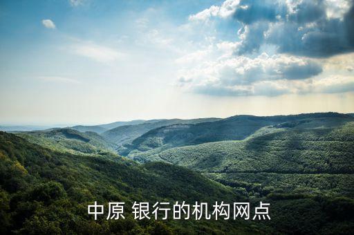 中原 銀行的機構網點