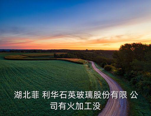 湖北菲利華公司歐陽葆華的職務(wù)