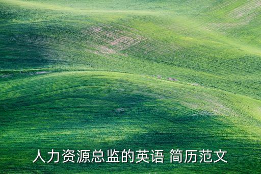 人力資源總監(jiān)的英語 簡(jiǎn)歷范文