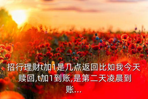 招行理財t加1是幾點返回比如我今天 贖回,t加1到賬,是第二天凌晨到賬...